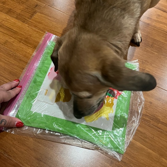 “Burger&Fries” Acrylic Painting by Talented Dachshund - Picture 4 of 8